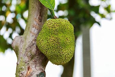 《Swords & Slippers》新视频 大雷公主穿比基尼砍人